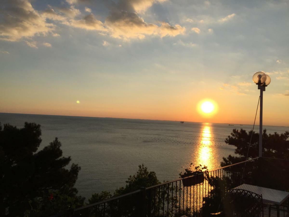 Apartments Roberta Novigrad Istria Exterior foto